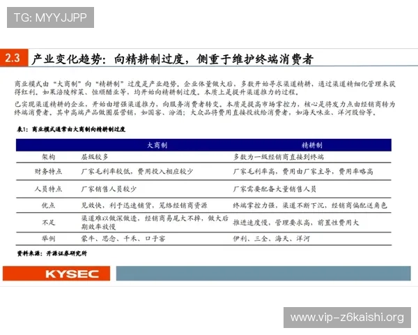 凯时K66官网支付方式与安全保障措施详解确保玩家资金交易的安全与便捷